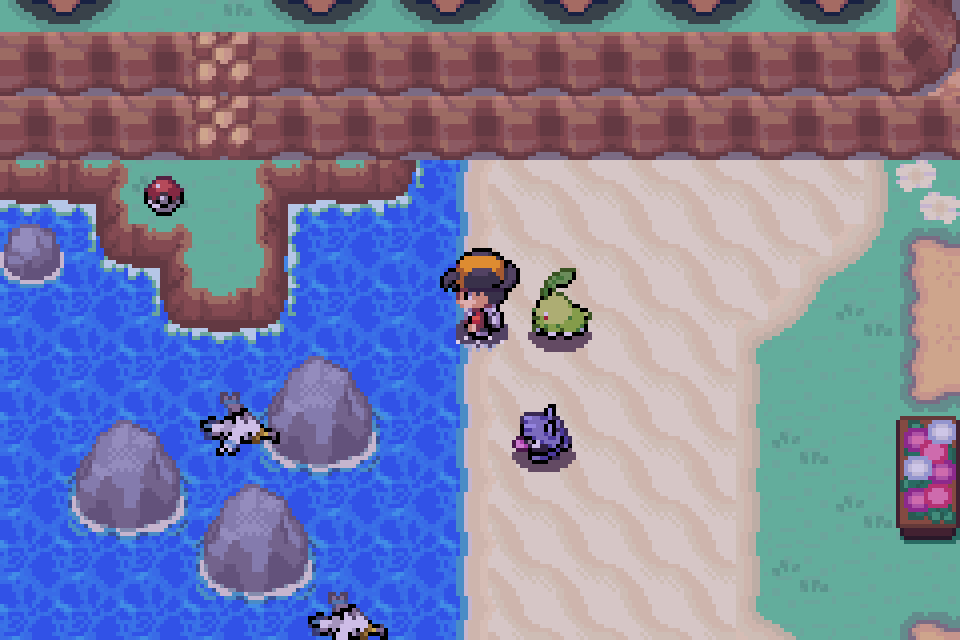 The player stands by a rocky coastline with Pokemon visible nearby.